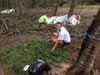 Survival Training